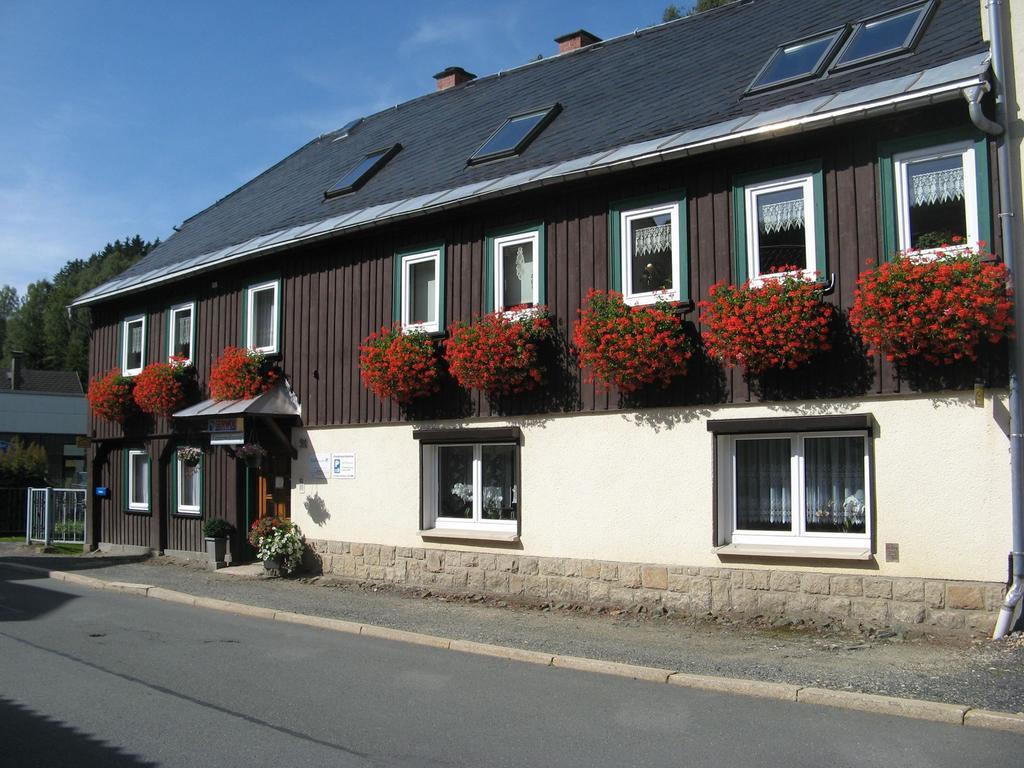 Ferienwohnung Wild Klingenthal Buitenkant foto