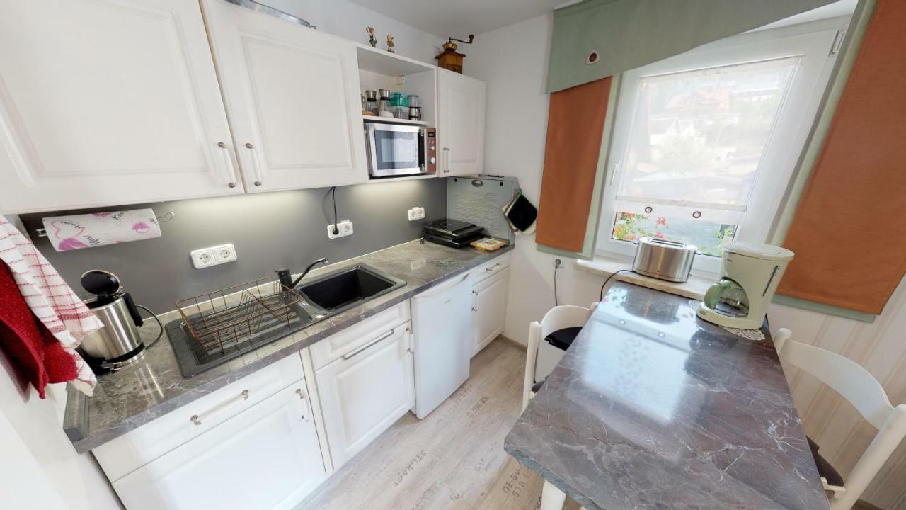 Ferienwohnung Wild Klingenthal Buitenkant foto